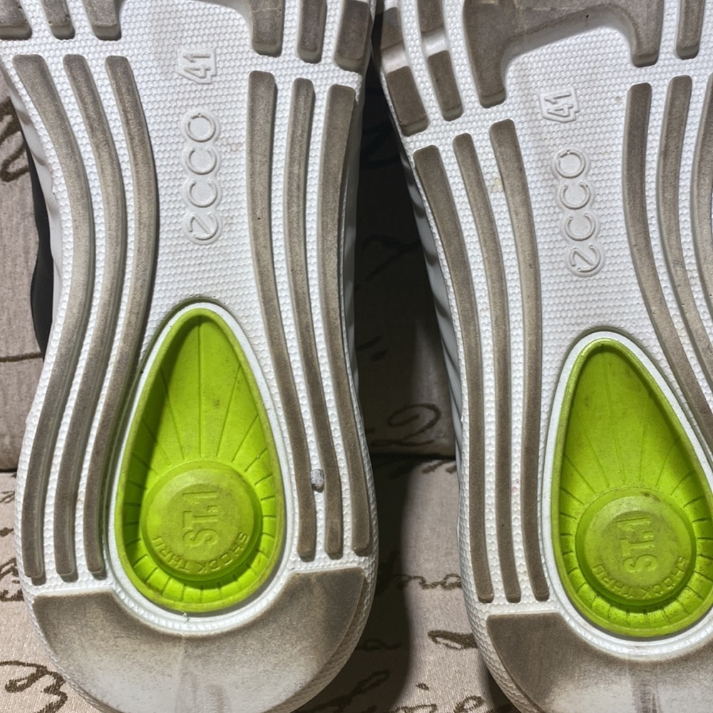 Ecco - Picture 10 of 15